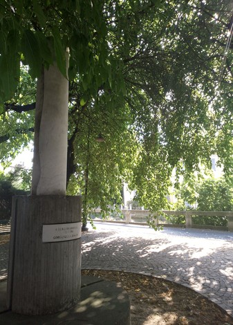 Monumento a Brambilla, immerso nel verde, con un'architettura semplice e armoniosa circondata da alberi.