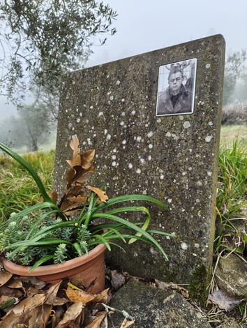Cippo commemorativo con fotografia e piante ornamentali in un paesaggio verdeggiante e umido.