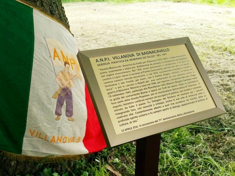 Quercia di De Faldò, simbolo di memoria storica, circondata da elementi commemorativi e naturali.