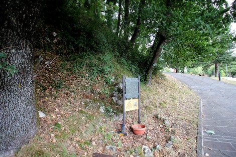 Targa commemorativa su un sentiero tra vegetazione e alberi, affiancata da un vaso di fiori.