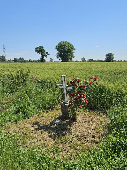 Croce di pietra circondata da fiori rossi, immersa in un campo verde sotto un cielo azzurro.