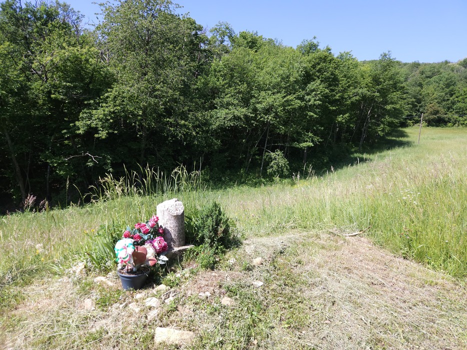 Cippo a Vignali, Comune di Bore (PR), foto 3