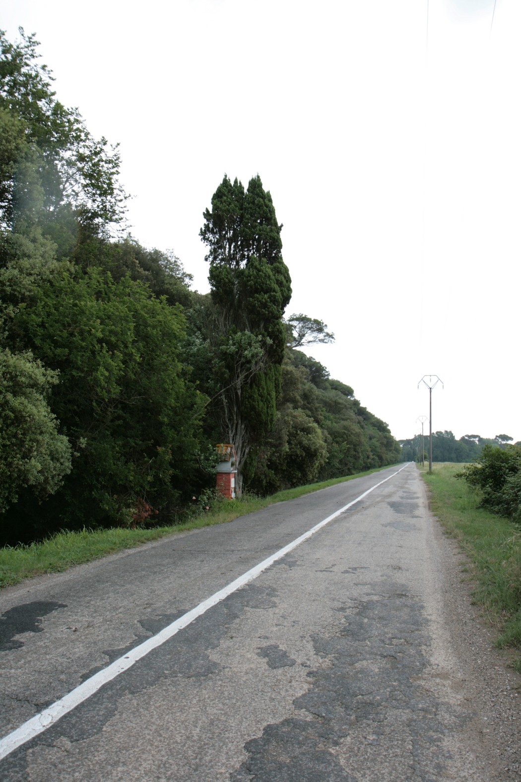 Vista del Tabernacolo di Marina di Vecchiano, immerso nella natura lungo una strada tranquilla.