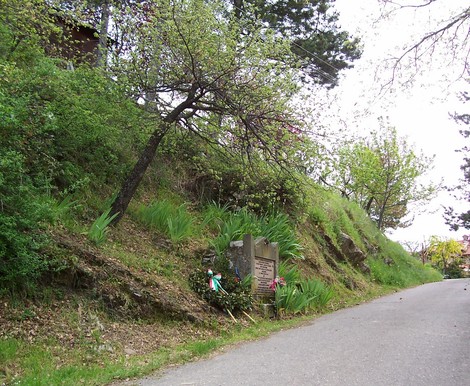 Cippo dedicato ai fucilati di Quota, circondato da alberi e natura, in un luogo di memoria storica.