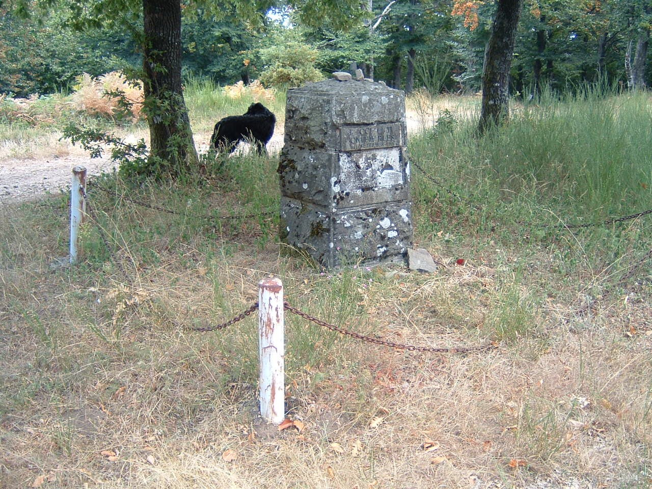 Cippo storico dei Faggi di Javello, circondato da vegetazione e accessibile tramite un sentiero naturale.