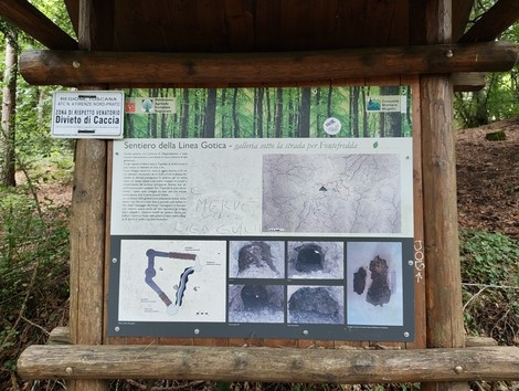 Bacheca informativa sul "Sentiero della Linea Gotica" immersa nella natura, con mappe e fotografie storiche.