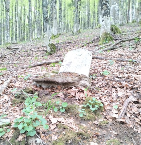 Cippo di pietra abbandonato in un bosco, circondato da alberi e foglie secche. Atmosfera di memoria storica.