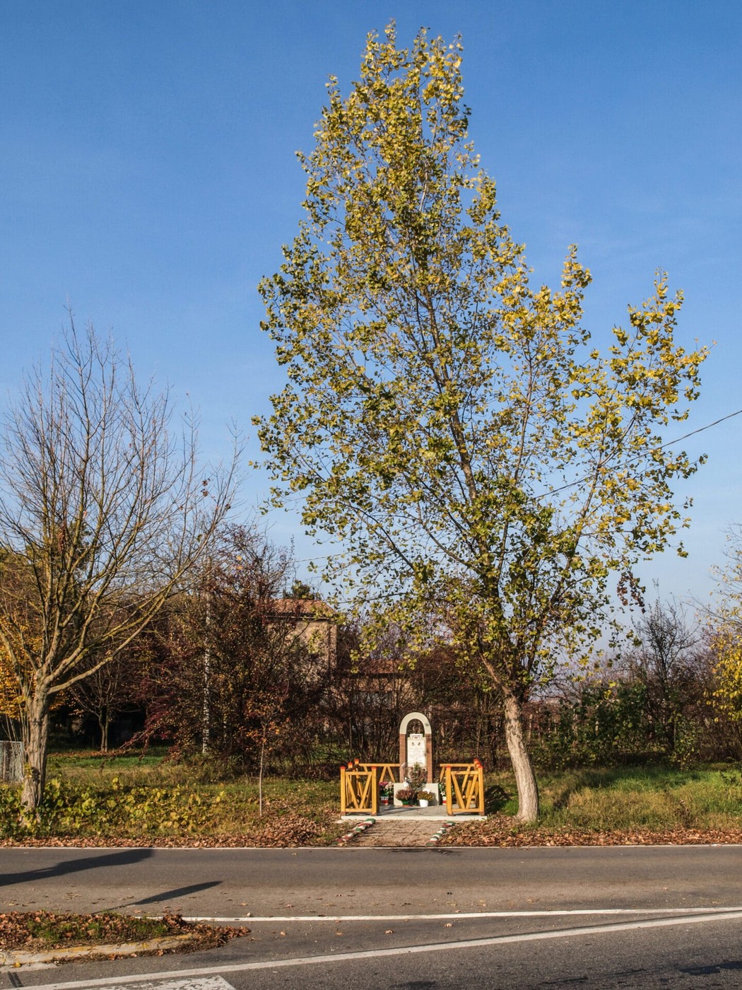 Monumento a Meschiari e Bruni, situato lungo una strada, circondato da alberi e verde.