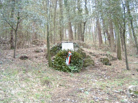 Monumento a Checcucci, immerso nella natura, circondato da alberi e vegetazione.