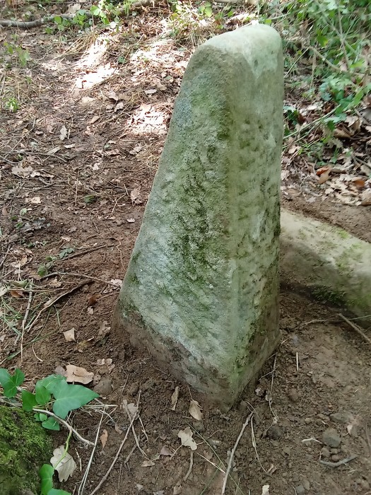 Cippo di pietra in un ambiente naturale, circondato da vegetazione e terreno terroso.