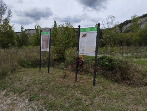 Lastre informative sull'eccidio di Roncadelli in un'area verde con vegetazione e un cielo nuvoloso.