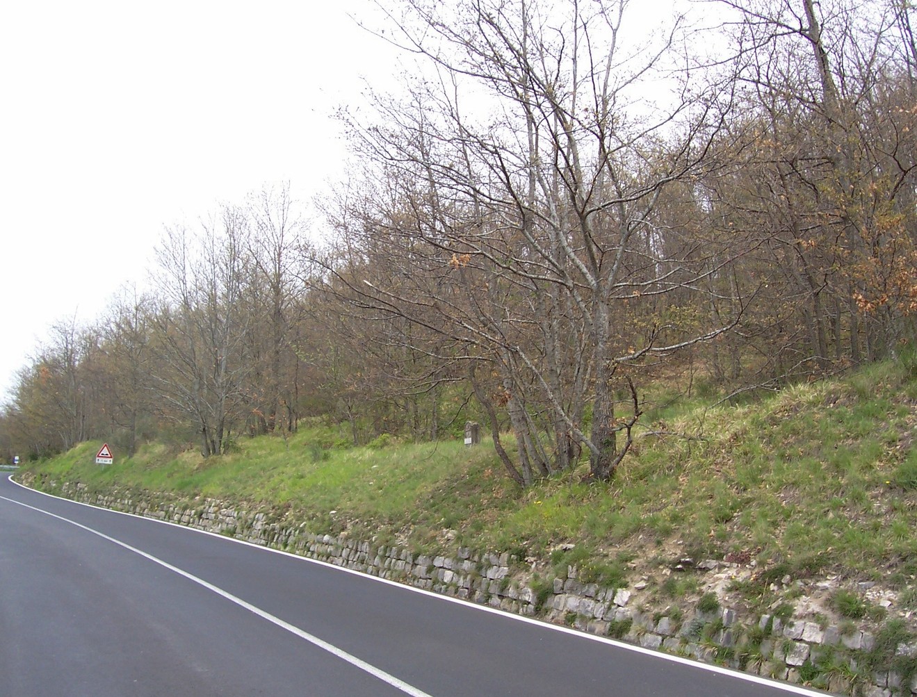 Cippo a Fani: monumento storico lungo una strada circondata da alberi e vegetazione.