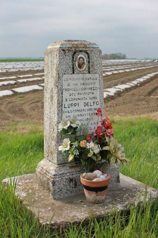 Cippo commemorativo di Delfo Luppi, decorato con fiori e situato in un campo aperto.