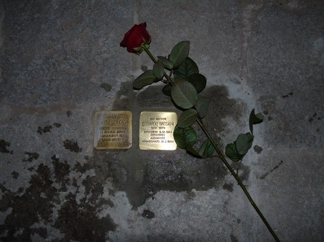 Pietre d'inciampo con una rosa, commemorano gli ospiti della Casa Israelitica di riposo.