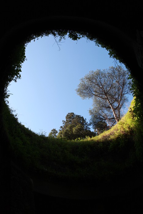 Vista dal basso di un foro circolare circondato da vegetazione, con il cielo blu e alberi visibili in cima.