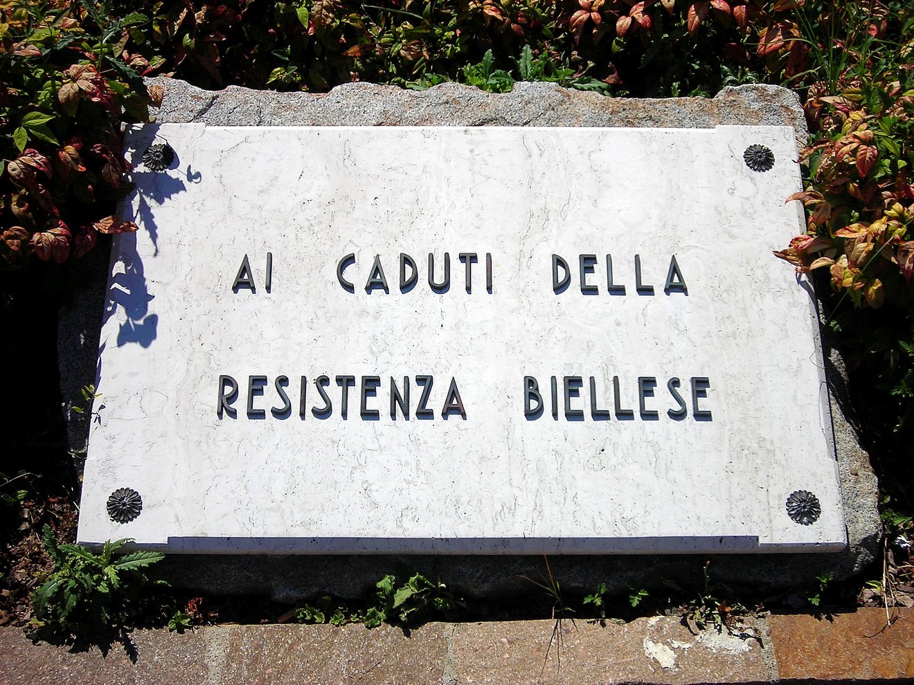 Lapide commemorativa dedicata ai caduti della Resistenza biellese, circondata da vegetazione.