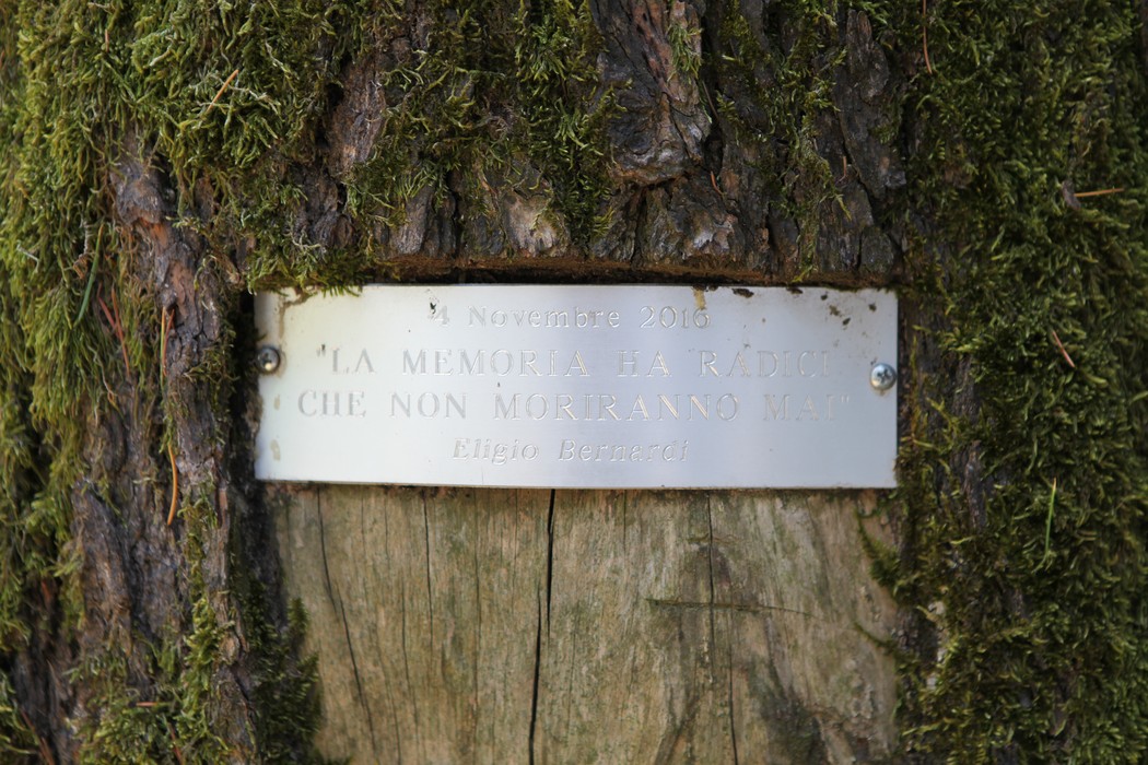 Monumento ai Caduti in un contesto naturale, con una targa commemorativa incastonata nel legno.