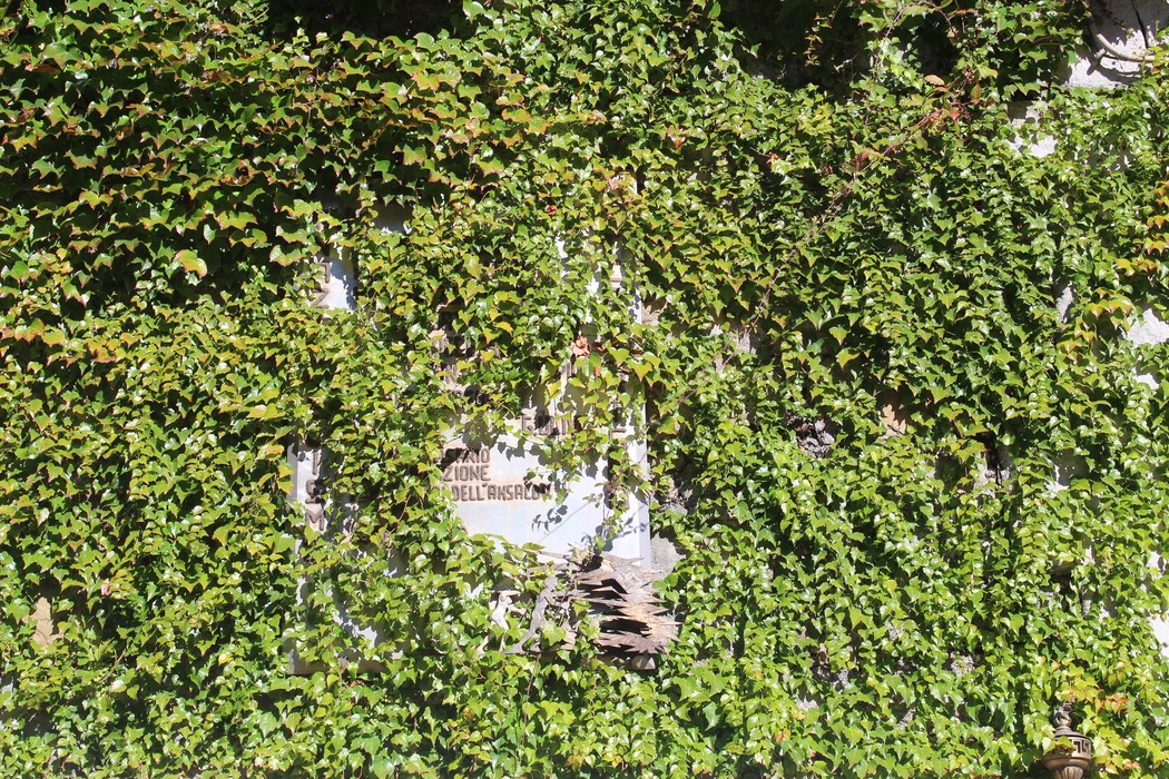 Lapide dell'Ansaldo Meccanico coperta da una fitta vegetazione verde.