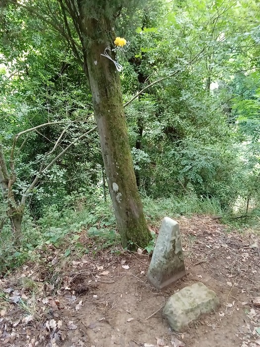 Cippo in pietra con fiori posizionati su un albero, immerso nella vegetazione.