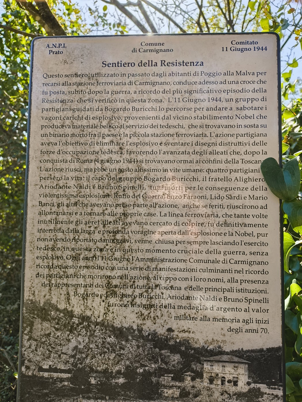 Sentiero della Resistenza a Poggio alla Malva, ricco di storia e natura, un percorso di memoria e riflessione.