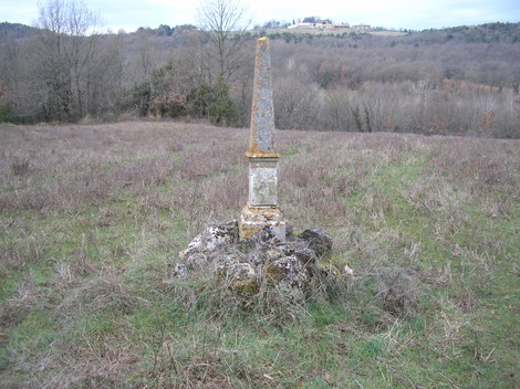 Cippo di Villa Citerna, monumento in pietra situato in un paesaggio naturale verde e collinare.