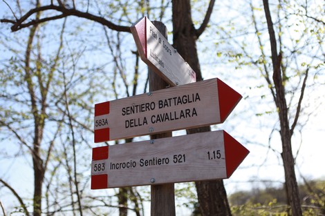 Indicazioni del "Sentiero Battaglia della Cavallara" con frecce su un palo di legno tra gli alberi.