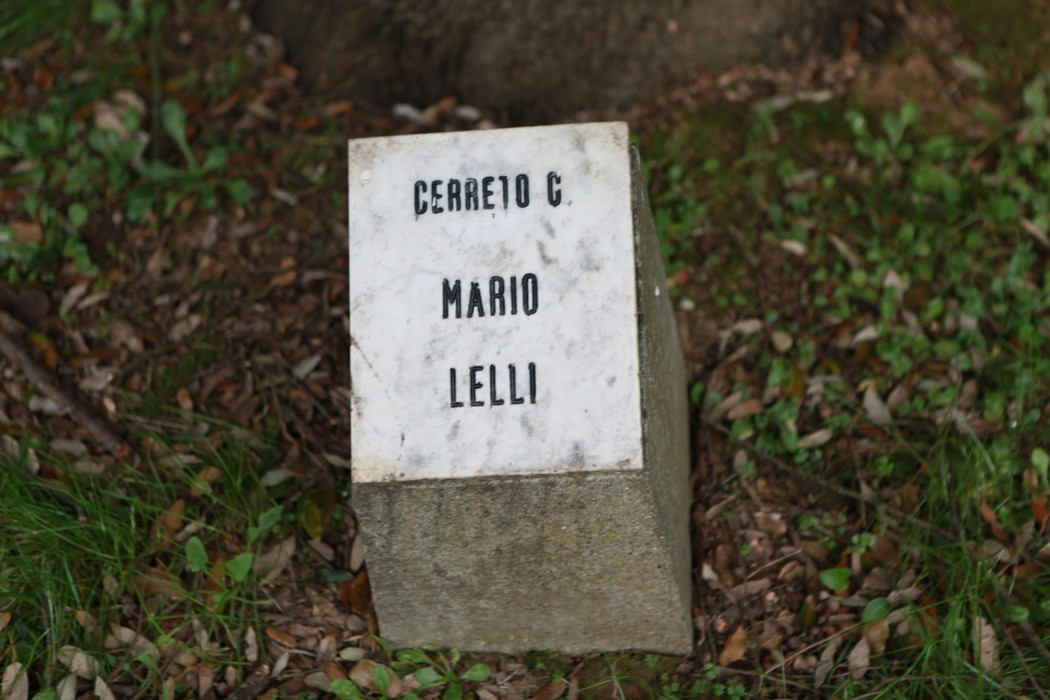 Pietra commemorativa in un giardino della meditazione, circondata da un'atmosfera di tranquillità naturale.