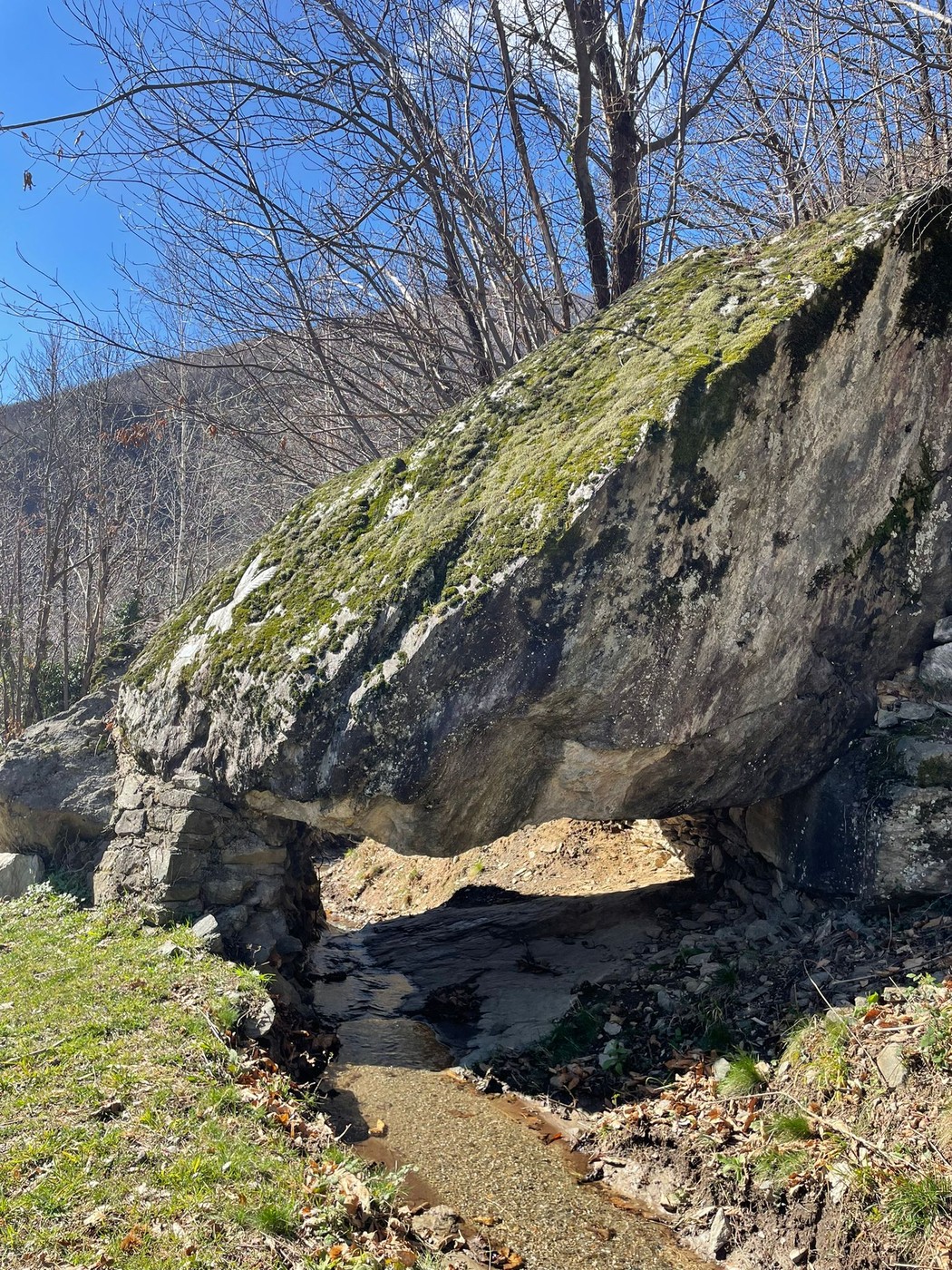 Roccia dei partigiani: masso affiorante con vegetazione, immerso nella natura, simbolo di storie resistenziali.