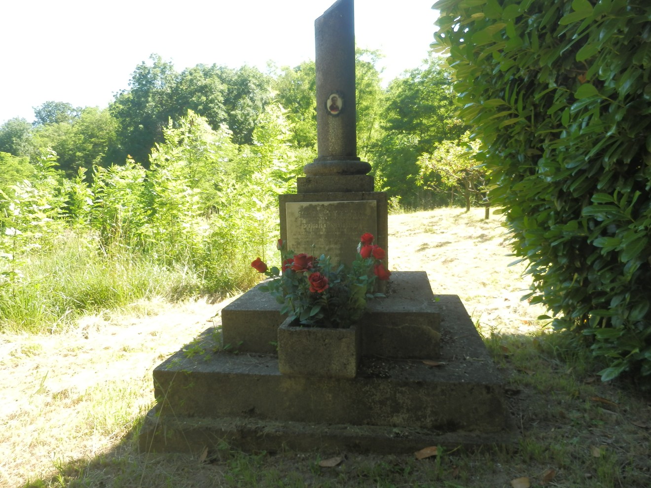 Cippo commemorativo circondato da vegetazione e fiori rossi in un ambiente naturale.