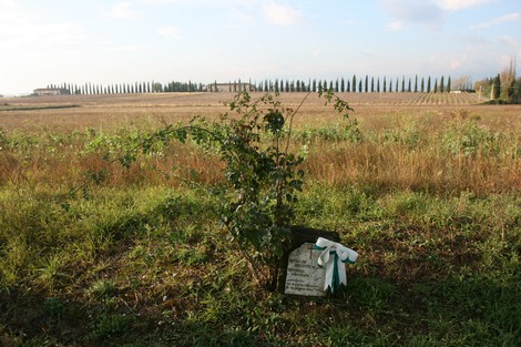 Cippo commemorativo immerso nel verde, tra campi e filari di alberi a Bettaccini e Brittoli.