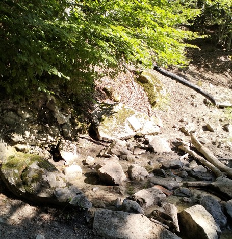 Lapide a Francini immersa nella natura, circondata da rocce e vegetazione.