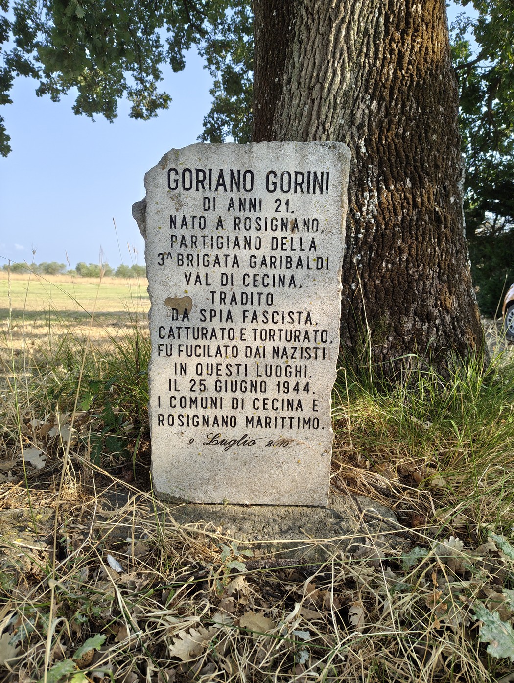 Cippo a Gorini, Comune di Cecina (LI), foto 1