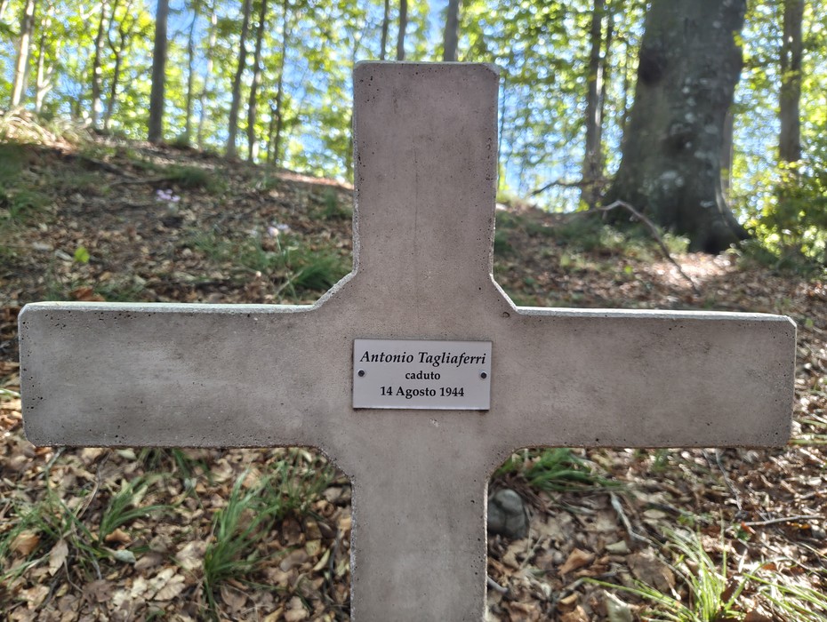 Croce in pietra nel bosco, con targa metallica recante un'iscrizione dedicatoria.