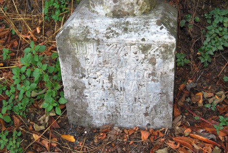 Cippo a Tronconi, monumento di pietra immerso nella vegetazione, testimonianza storica del territorio.