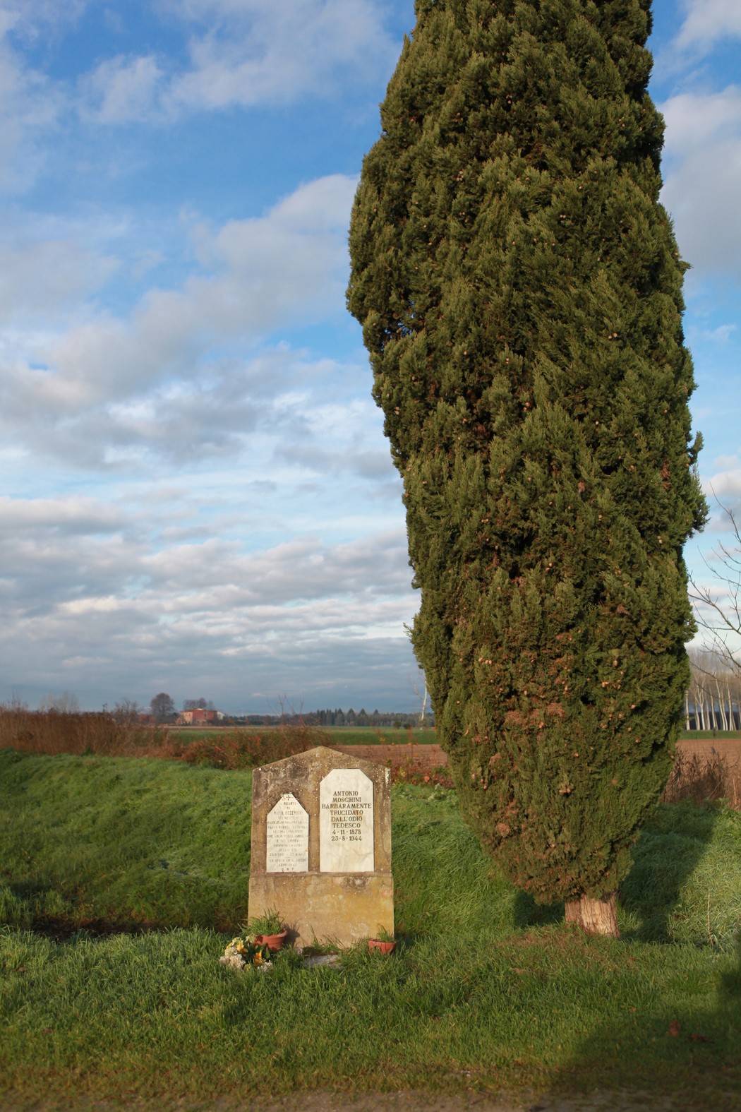 Cippo commemorativo dedicato a Moschini e Federighi, circondato da un albero e il paesaggio circostante.