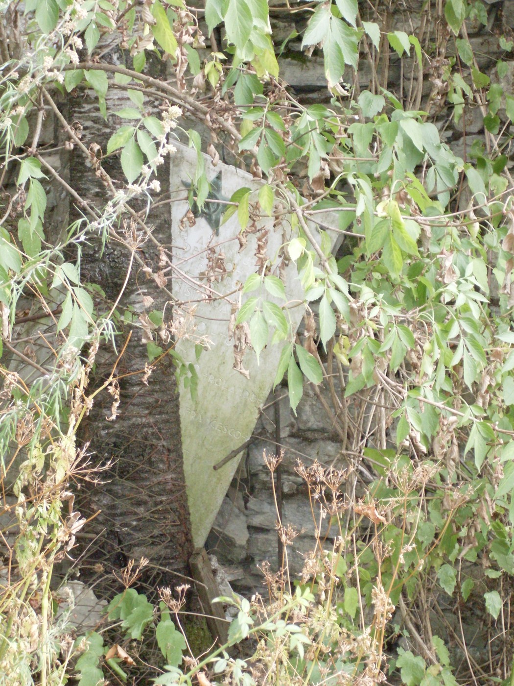 Lapide abbandonata avvolta dalla vegetazione in un ambiente naturale.