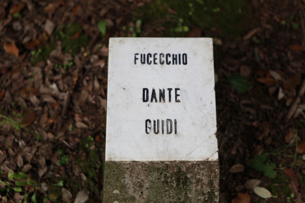 Un angolo di pace nel "Giardino della meditazione", immerso nella natura e nella tranquillità.