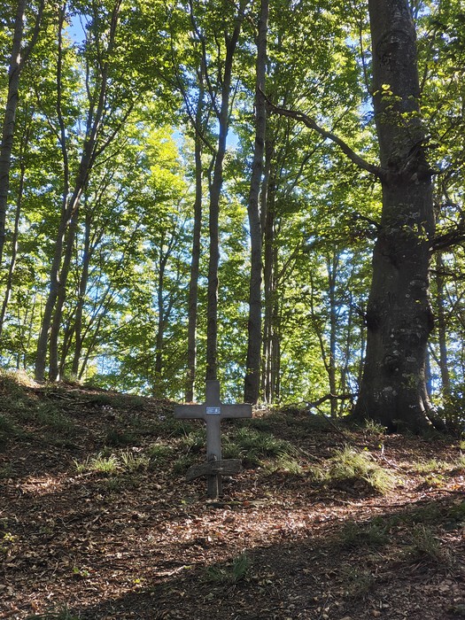 Piccola croce in legno con iscrizione, piantata su un cumulo di terra in un bosco.