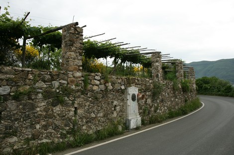 Monumento a Casini, situato lungo una strada circondata da un muretto in pietra e vigneti.