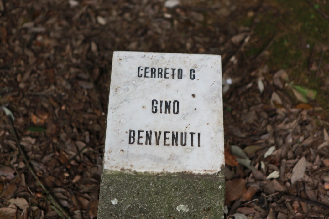 Pietra di benvenuto nel Giardino della meditazione, circondata da un'atmosfera di tranquillità e riflessione.