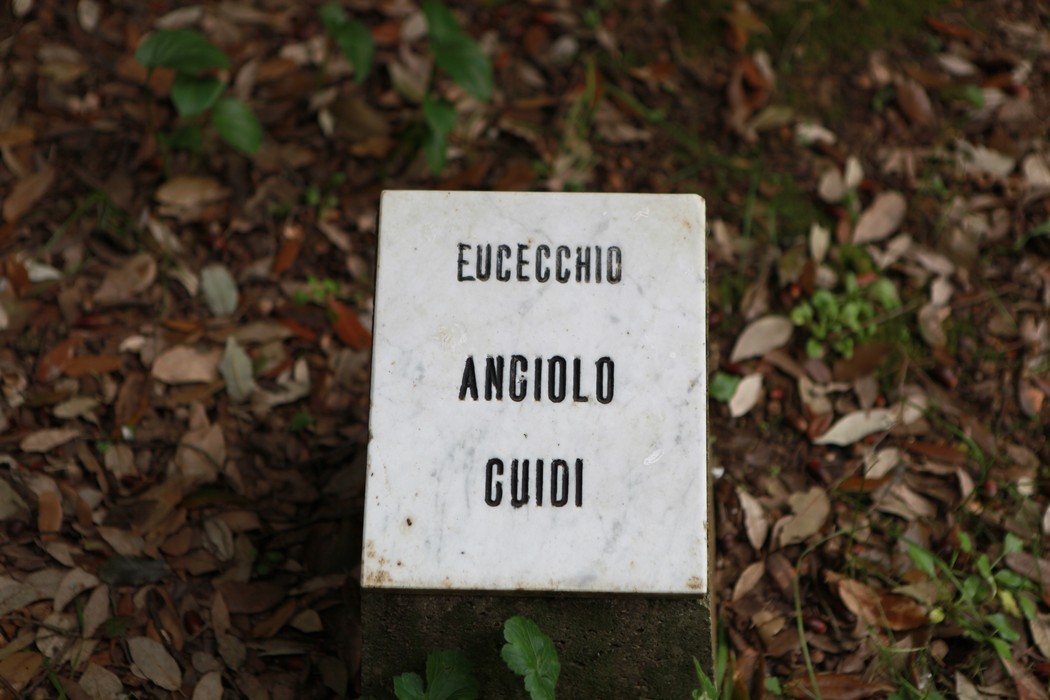Giardino della meditazione con elementi naturali e atmosfera tranquilla per la riflessione interiore.