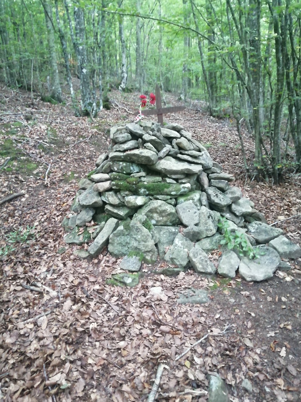 Cippo a Chiaroni: un monumento in pietra immerso nella natura, circondato da alberi e foglie.