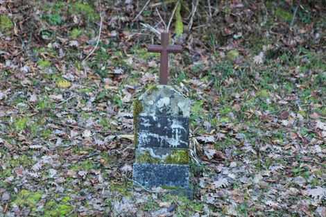 Cippo a Sottili, monumento circondato da foglie e vegetazione, con croce in cima.