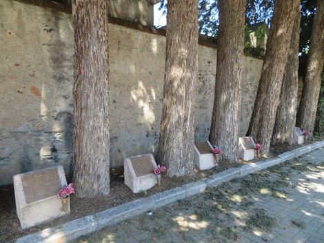 Cippi in memoria di caduti, decorati con fiori, lungo un viale alberato. Atmosfera di ricordo e rispetto.