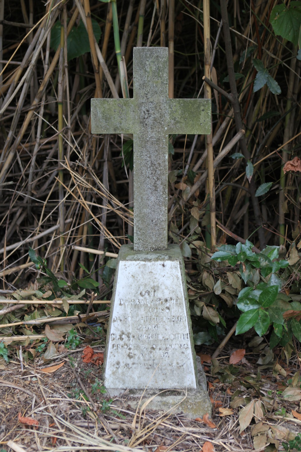Cippo commemorativo dedicato a Don Eligio Bortolotti, situato in un contesto naturale.