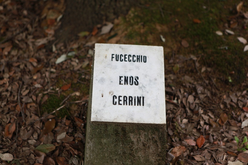 Un ambiente sereno nel Giardino della meditazione, circondato da foglie e natura.