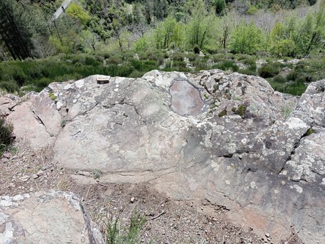 Roccia con graffiti delle vedette partigiane, circondata da vegetazione e natura.