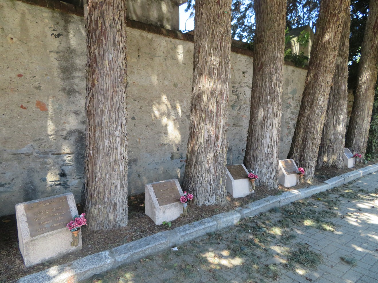 Cippi in memoria di caduti, decorati con fiori, lungo un viale alberato. Atmosfera di ricordo e rispetto.