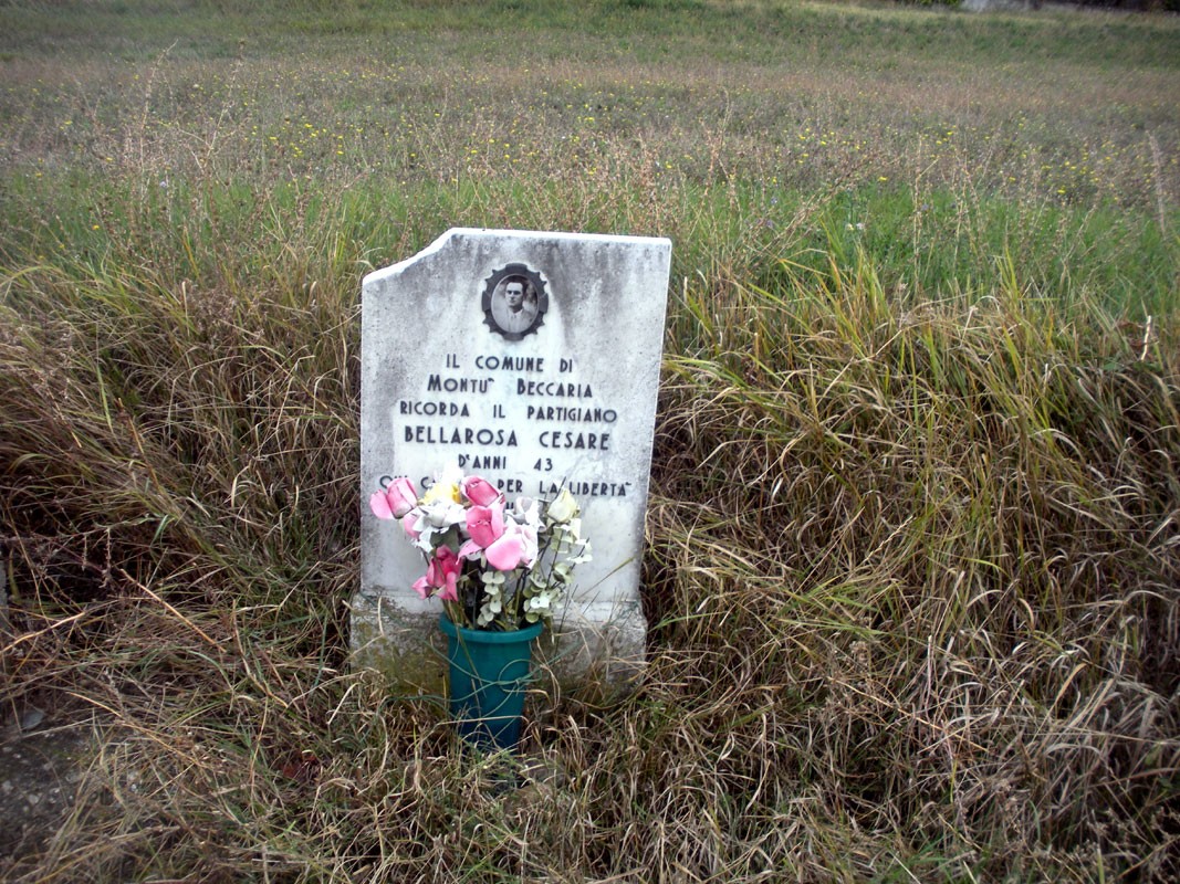 Lapide commemorativa del partigiano Bellarosa, circondata da fiori e vegetazione.