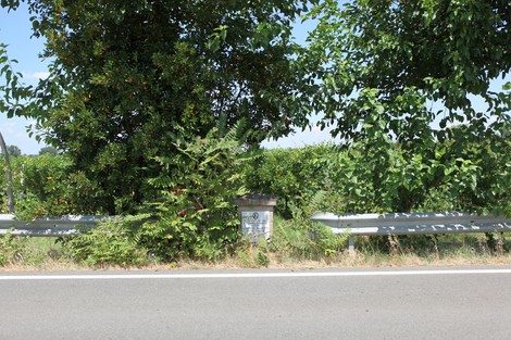 Cippo a Bonetti immerso nel verde, con vegetazione che circonda la strada sottostante.